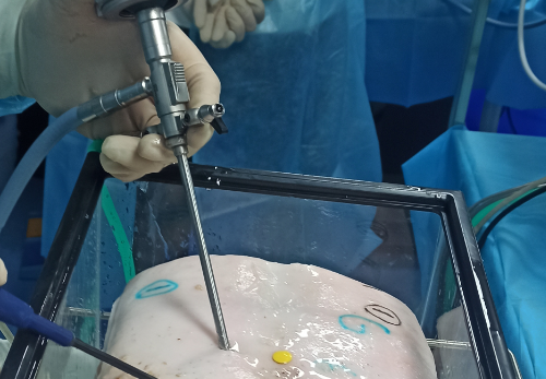Course Content of Unilateral Biportal Endoscopy (UBE) Hands-on Training Camp