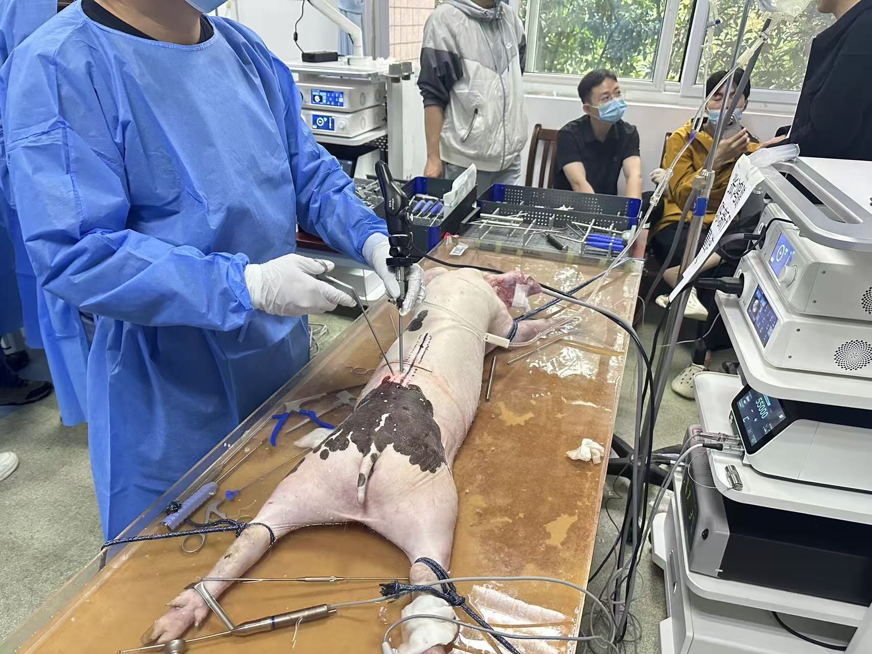 UBE Surgery Practical Training-Anhui Zone